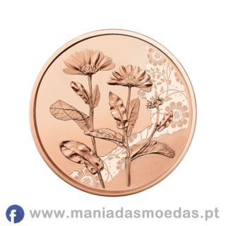 Moeda 10€ Áustria 2022 em Cobre - Marigold